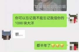 云龙讨债公司